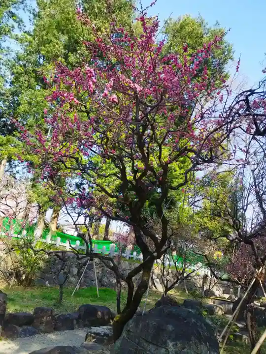 茨木神社(大阪府)