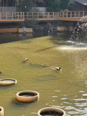 生田神社の庭園