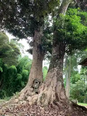須賀神社(千葉県)