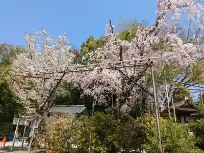賀茂別雷神社（上賀茂神社）(京都府)