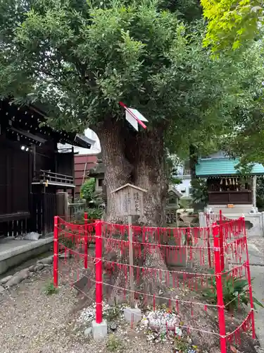 三輪神社(愛知県)
