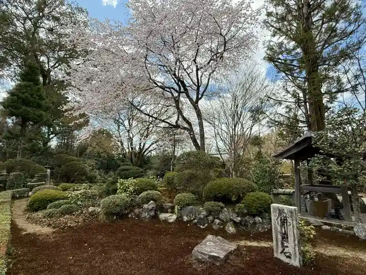 安楽寺(京都府)