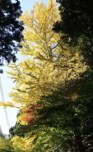 播州清水寺(兵庫県)