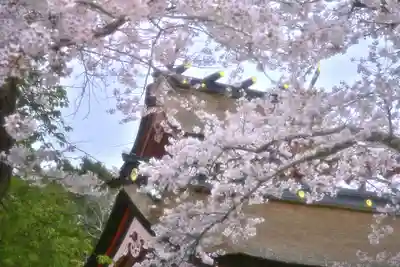富士山本宮浅間大社(静岡県)