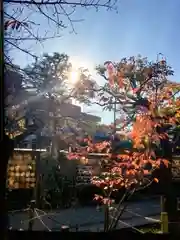 鳩森八幡神社(東京都)