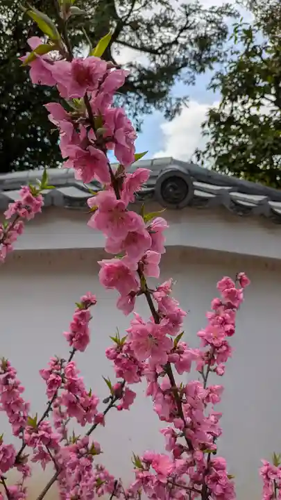 御香宮神社(京都府)
