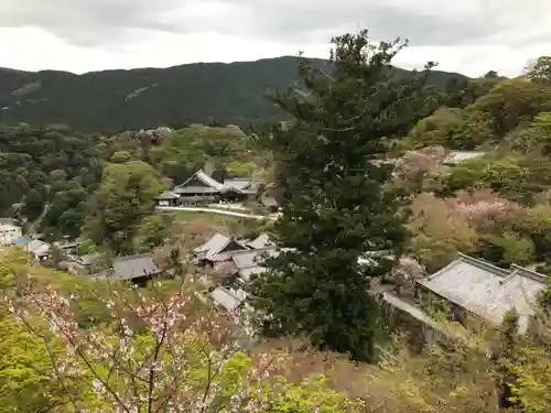 長谷寺の景色