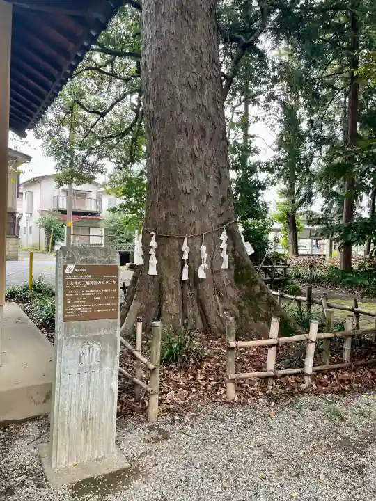 三嶋神社(神奈川県)