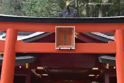 九頭龍神社新宮(神奈川県)