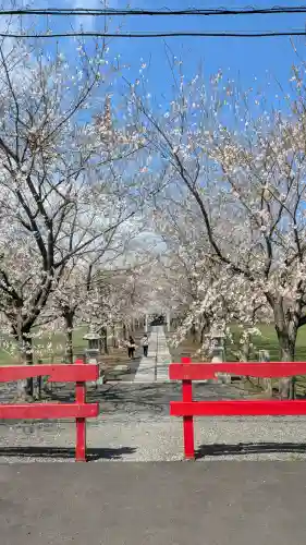 明和神社の{uncategorized: "未分類", other: "その他", undefined: "問題あり", building: "その他建物", grave: "お墓", sacred_gate: "鳥居", guardian: "狛犬", statue: "像", buddha: "仏像", history: "歴史", nature: "自然", garden: "庭園", animal: "動物", pagoda: "塔", temizu: "手水舎", mountain_gate: "山門・神門", sanctuary: "本殿・本堂", subordinate: "末社・摂社", art: "芸術", scenery: "景色", jizo: "地蔵", ema: "絵馬", goshuin: "御朱印", omikuji: "おみくじ", items: "授与品その他", amulet: "お守り", goshuincho: "御朱印帳", eats: "食事", festival: "お祭り", votive_dance: "神楽", shichigosan: "七五三参", wedding: "結婚式", experience: "体験その他", initially: "初詣", around: "周辺", anti_infection: "感染症対策"}