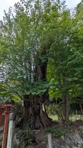 長等神社(滋賀県)