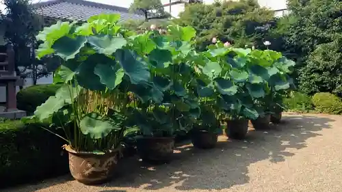 長源寺の庭園