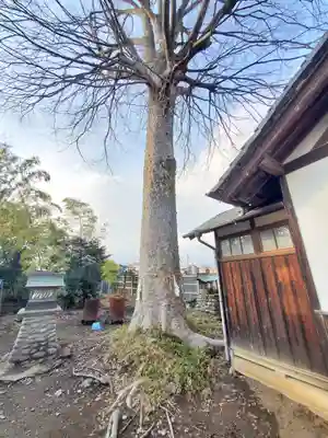 天津戸隠神社(栃木県)