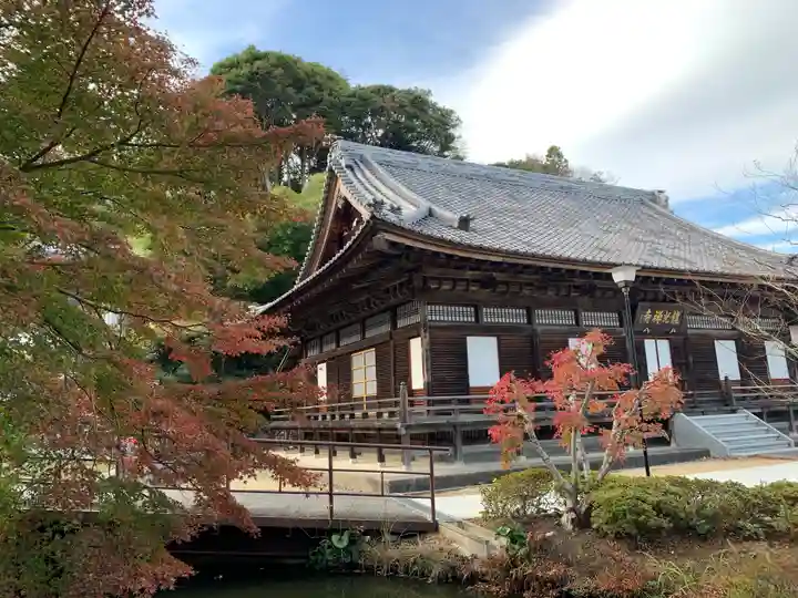 龍光寺の本殿・本堂