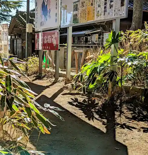 麻賀多神社の動物
