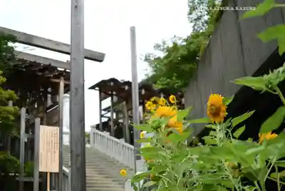 伊勢山皇大神宮(神奈川県)