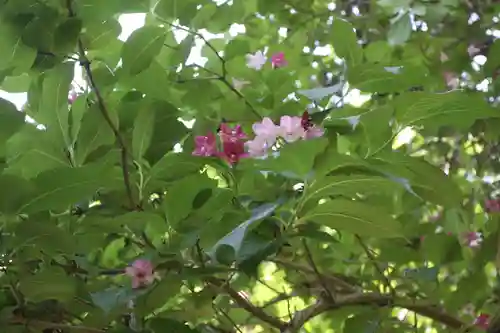 園養寺(滋賀県)