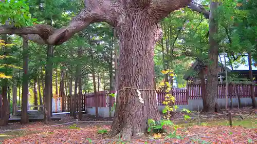 北海道神宮のその他建物