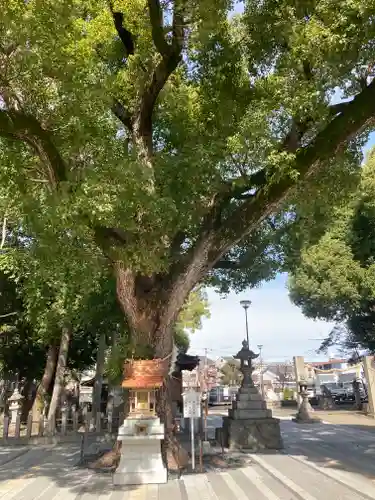 大依羅神社(大阪府)