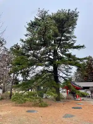 陸奥国分寺薬師堂(宮城県)