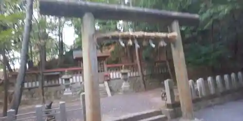 敢國神社の鳥居