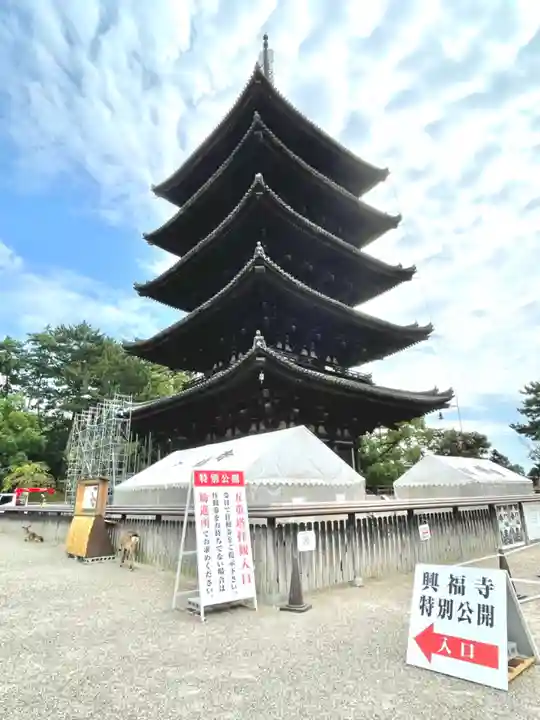 興福寺 五重塔(奈良県)