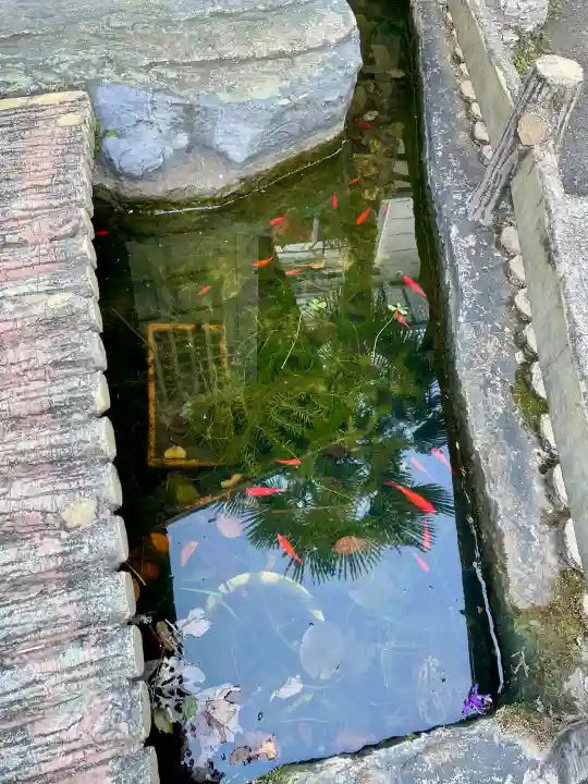 下落合弁財天の{uncategorized: "未分類", other: "その他", undefined: "問題あり", building: "その他建物", grave: "お墓", sacred_gate: "鳥居", guardian: "狛犬", statue: "像", buddha: "仏像", history: "歴史", nature: "自然", garden: "庭園", animal: "動物", pagoda: "塔", temizu: "手水舎", mountain_gate: "山門・神門", sanctuary: "本殿・本堂", subordinate: "末社・摂社", art: "芸術", scenery: "景色", jizo: "地蔵", ema: "絵馬", goshuin: "御朱印", omikuji: "おみくじ", items: "授与品その他", amulet: "お守り", goshuincho: "御朱印帳", eats: "食事", festival: "お祭り", votive_dance: "神楽", shichigosan: "七五三参", wedding: "結婚式", experience: "体験その他", initially: "初詣", around: "周辺", anti_infection: "感染症対策"}