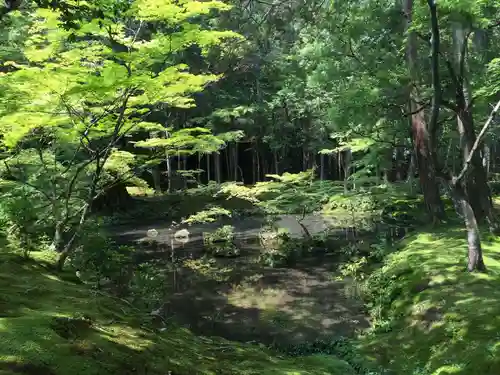 西芳寺の景色