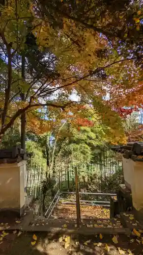 観音寺(京都府)