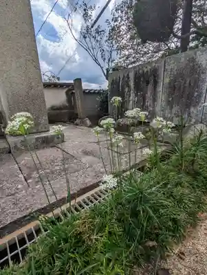 瑞雲寺(岡山県)