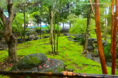 三嶋大社(静岡県)