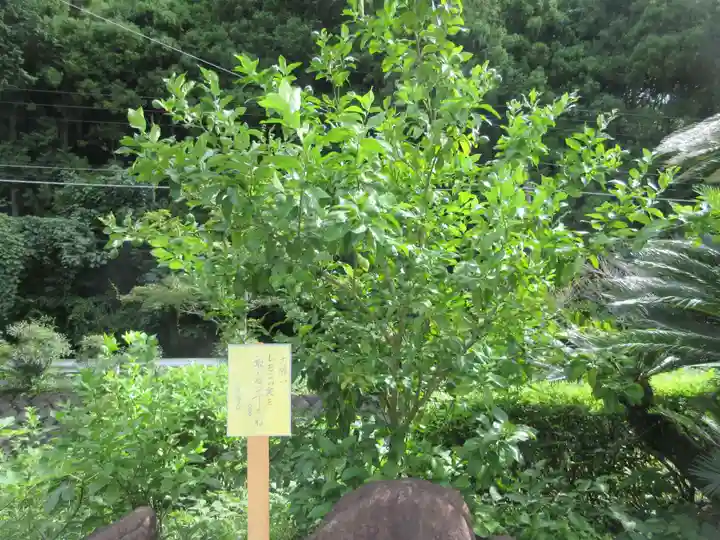 浄発願寺(神奈川県)