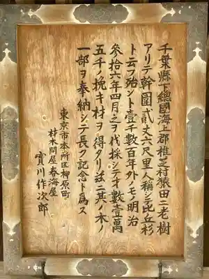 椿ノ海　水神社の御朱印