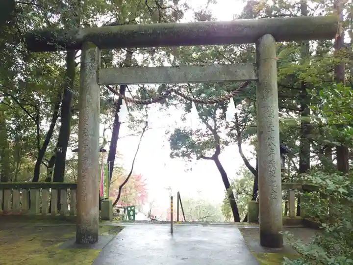 唐澤山神社の鳥居