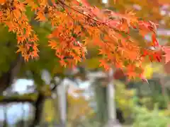 新田神社の自然