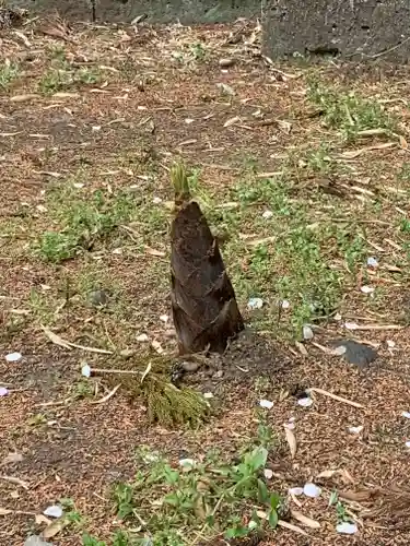 塩竈神社の自然