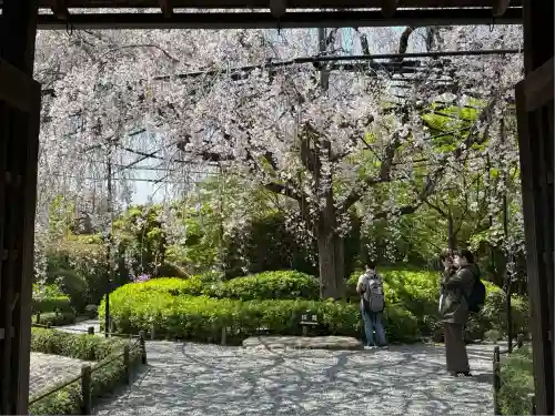 退蔵院(京都府)