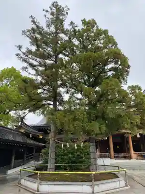 寒川神社(神奈川県)