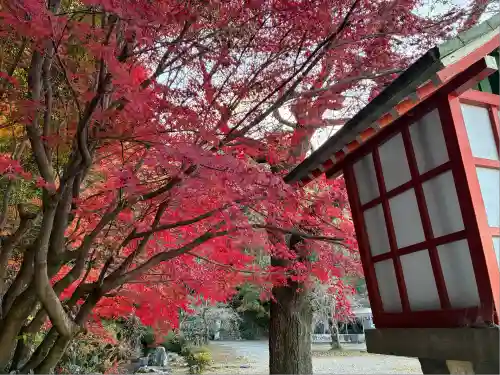 霊山観音(京都府)