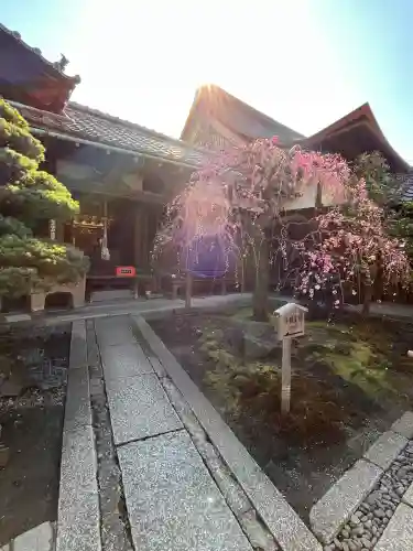 東寺（教王護国寺）の末社・摂社