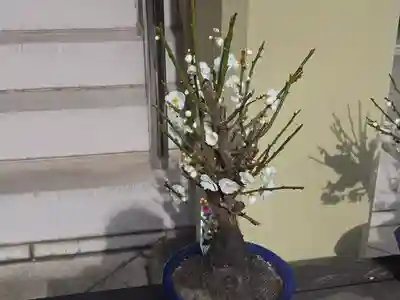 正祐寺(大阪府)