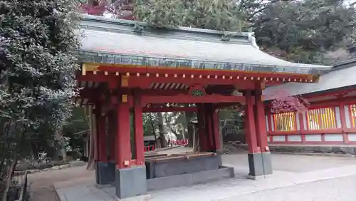 武蔵一宮氷川神社の手水舎