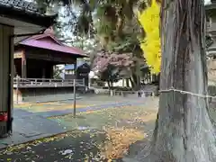 火雷神社(群馬県)