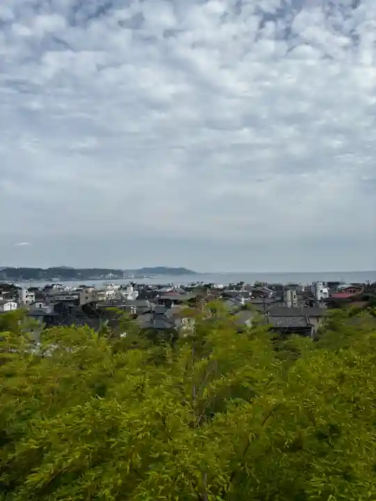 長谷寺の{uncategorized: "未分類", other: "その他", undefined: "問題あり", building: "その他建物", grave: "お墓", sacred_gate: "鳥居", guardian: "狛犬", statue: "像", buddha: "仏像", history: "歴史", nature: "自然", garden: "庭園", animal: "動物", pagoda: "塔", temizu: "手水舎", mountain_gate: "山門・神門", sanctuary: "本殿・本堂", subordinate: "末社・摂社", art: "芸術", scenery: "景色", jizo: "地蔵", ema: "絵馬", goshuin: "御朱印", omikuji: "おみくじ", items: "授与品その他", amulet: "お守り", goshuincho: "御朱印帳", eats: "食事", festival: "お祭り", votive_dance: "神楽", shichigosan: "七五三参", wedding: "結婚式", experience: "体験その他", initially: "初詣", around: "周辺", anti_infection: "感染症対策"}