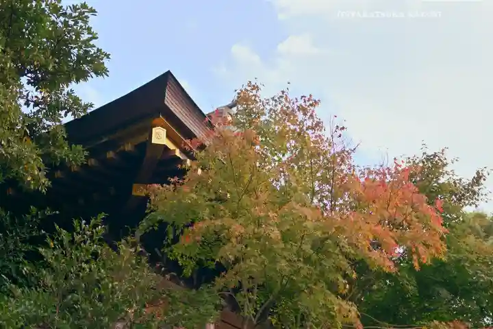 寒川神社(神奈川県)