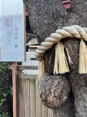 小室浅間神社のその他建物
