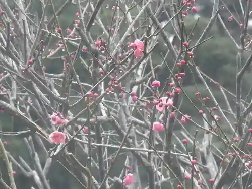 光則寺(神奈川県)