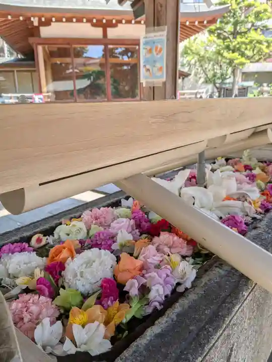 鳩森八幡神社(東京都)