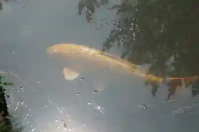 備中国總社(岡山県)