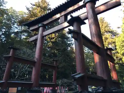 北口本宮冨士浅間神社の鳥居